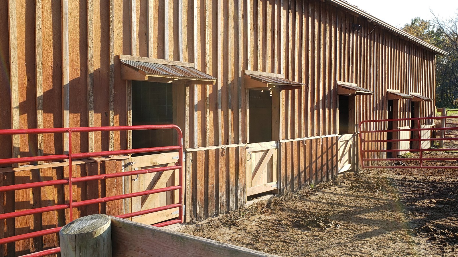Outside the barn with stall runs at BV Farms in Defiance, Missouri