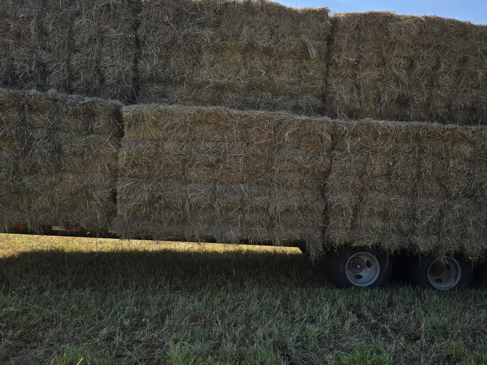 Close-up of stacked small square hay bales on a trailer at BV Farms