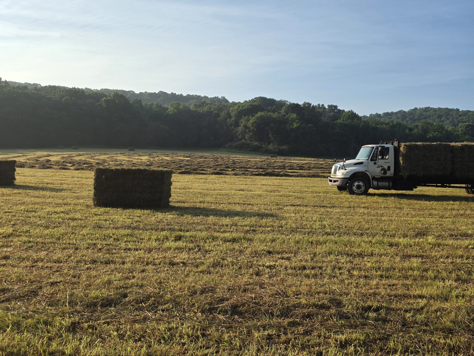 Hay field with loaded truck at BV Farms in Defiance, Missouri